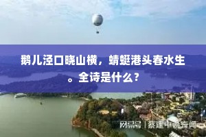 假痴不癫成语的释义
