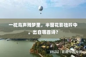 锦字佳人怨不归，开帏更感飞萤入。的解释