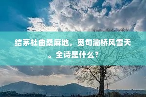 既成事实成语的拼音
