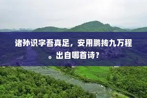 回思托荫无多日，早至潇湘欲重陪。出自哪首诗？