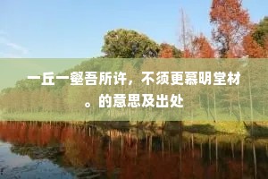 假痴不癫成语的释义