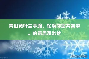 天门未上人就观，老胡惊嗟失开口。的解释