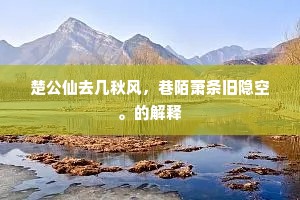 十年漂泊迷南北，千里忧思厌梦魂。的解释