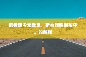 书托远怀期日月，眼和衰泪望乾坤。出自哪首诗？
