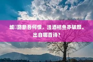 毛羽人将鹤品流，斜阳高处自迟留。全诗是什么？