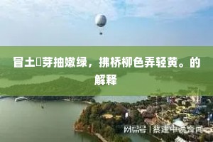 家无担石成语的解释