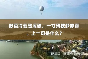 家有敝帚，享之千金成语的拼音