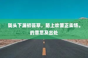 远目送飞沉暮霭，西风吹影过斜阳。的意思及出处