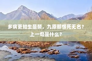 衡南未到归何日，须信张罗近稻粱。上一句是什么？