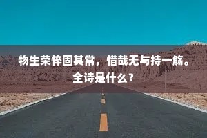 乔林隐约出天际，醉目远暝分茫微。出自哪首诗？