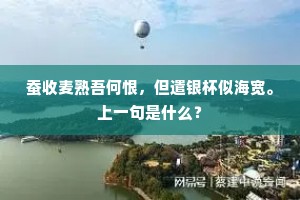 兼收并蓄成语的拼音