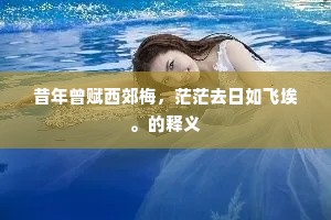 监主自盗成语的解释