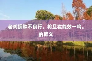 嫁狗随狗成语的拼音
