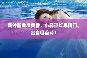 星机织成副地锦，神冶铸出舂天矛。上一句是什么？