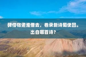 已推事业皆归命，空有文章自满家。的释义