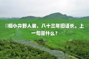 弹琴有声尚近俗，要解弦绝以意求。的意思及出处