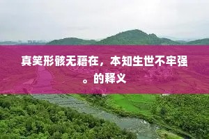 况持高怀屈下邑，志气略与彭泽侔。的解释