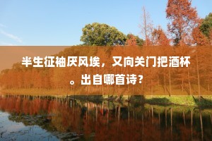 新诗惠见荐自讋，若遇重压并见投。上一句是什么？