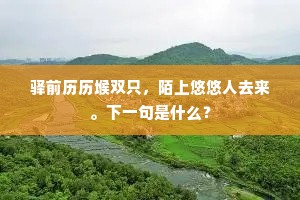 辉光交华目反眩，噍咀过美涎井流。的解释