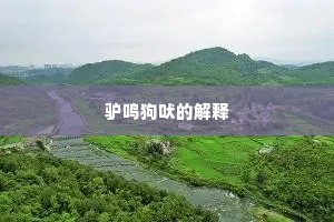 长冠峨峨伟笏佩，斗以玄白为裳衣。下一句是什么？