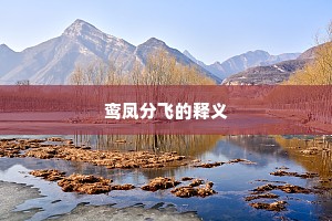 我知观者定堕泪，不复岘首羊公碑。上一句是什么？