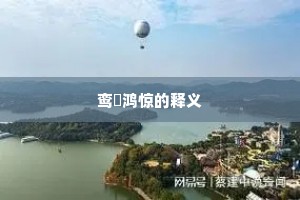 鸾跂鸿惊的释义