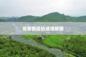见精识精成语的释义