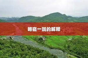 略窥一斑的解释