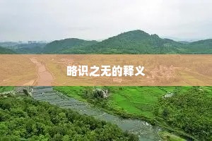 略识之无的释义