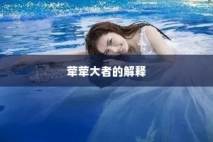 梦寐风仪近十年，尘埃无路睹云天。的解释