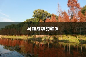 矫枉过当成语的释义