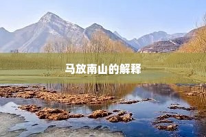 矫枉过直成语的拼音