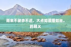 青山有意退弗忍，白发不逢归未迟。上一句是什么？