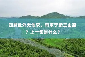 接踵而来成语的释义