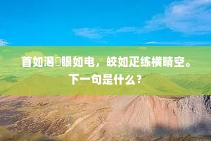 揭箧探囊成语的解释