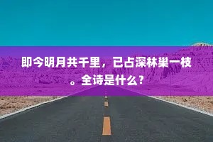 孟子不肯比伊尹，仲尼方可期文王。的解释