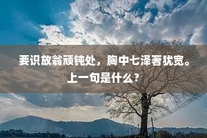 见所不见成语的拼音