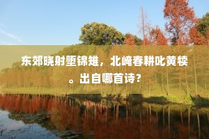 见噎废食成语的拼音