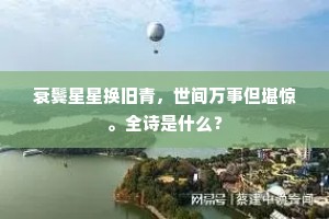 扰扰蜣蜋不足评，区区只逐粪丸行。的释义