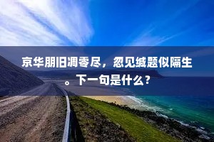 废苑繁华未可寻，孤城西北路嶔崟。的释义