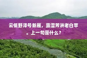 街谈巷说成语的解释