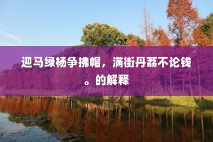 大哉玄象浩难测，安有庸人似术得。的解释