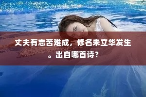 命有傥来犹未耳，天徒生我使穷耶。的意思及出处