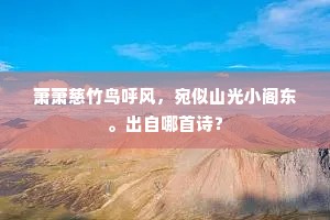 溪上清涟树老苍，行穿溪树踏青阳。的解释