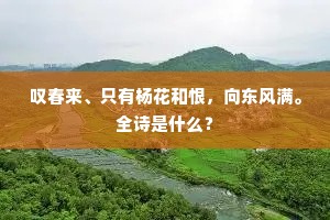 寻根及枝逮条蘖，例不拔直皆旁偏。下一句是什么？