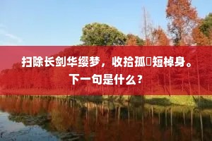 卒无柯柄尚弃置，懒乞月桂求婵娟。的意思及出处