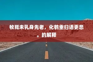 虽有尘缨无处濯，坐观渔者满沧浪。的意思及出处