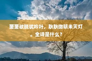 何时山移陵谷变，发出鼓铸戈或鋋。上一句是什么？