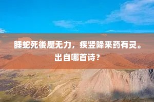 矜能负才成语的解释