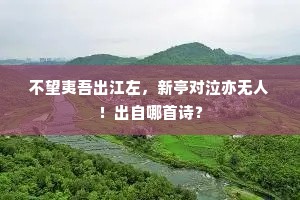 谁将民瘼牋双阙，四海皇恩不漏泉。的解释